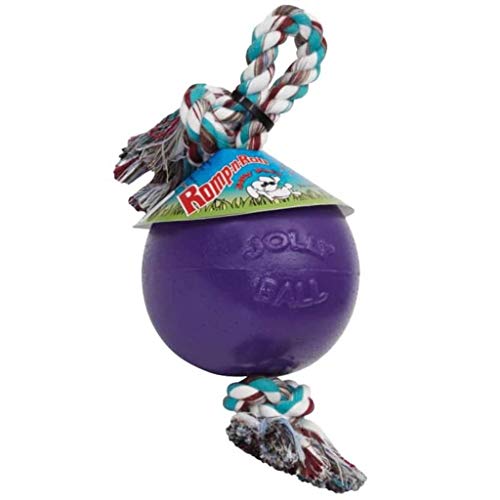 Romp-N-Roll Rope & Ball Dog Toy, 6 in Medium, Purple (Purple / Medium (6 in))