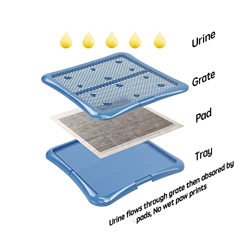 Training Pad Holder Floor Protection Dog Pad Holder Mesh Training Tray (24"X24")