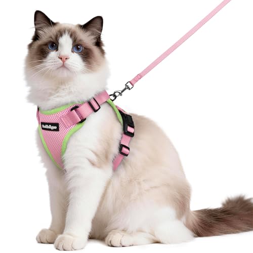 Cat Harness and Leash Set (M / Pink & Light Green)