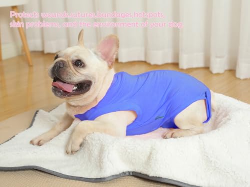 Dog Surgery Recovery Suit (3XL(Back 24-26" Chest 27-29" Weight 80-115lb) / Light Blue)