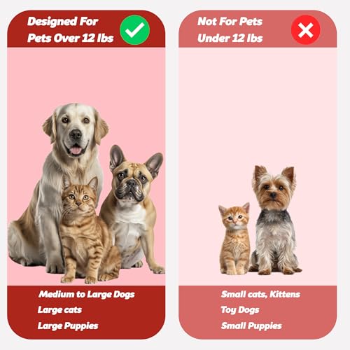 Pet Toothbrush for Dogs (Pack of 1 (Red))