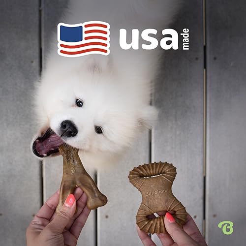 Tiny 2 Pack Dog Chew Toys (Extra Small / Wishbone / Dental)