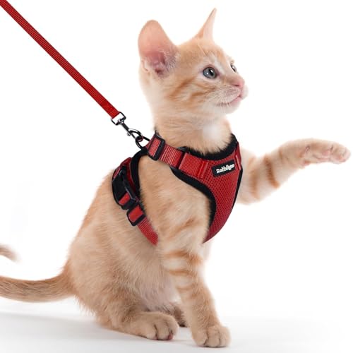 Cat Harness and Leash Set (Xxs / Red)