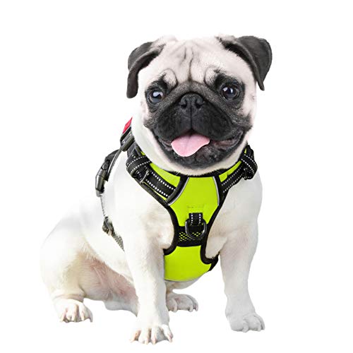 No Pull Dog Harnesses for Small Dogs Reflective Adjustable (Small / Green)