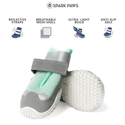 365 Dog Shoes (Turquoise / Size 6: 2.6"x2.95"(W*L) (Pack of 4))