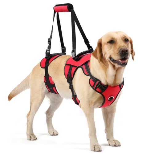Dog Lift Harness (Red-1 / Large)