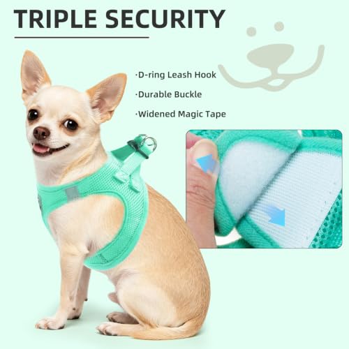 Adjustable Dog Harness Collar and Leash Set Step in No Pull Pet Harness for Small Medium Dogs Puppy and Cats Outdoor Walking Running (Solid Green / XS (CHEST 13"-14.5"))
