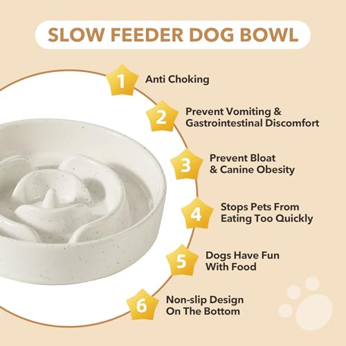Ceramic Slow Feeder Dog Bowls (1 x Vanilla White - A / XL- 9.5inch / 3.2 Cups)