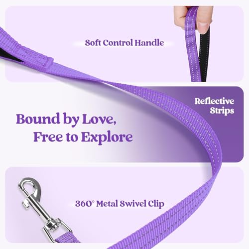 Dog Harness Small Sized and Leash Set (Purple / Xxxs (chest: 10.8 - 11.8"))
