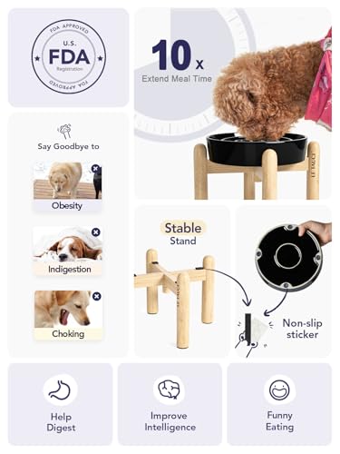 Ceramic Slow Feeder Dog Bowls Elevated (Skull Black+Stand / L-3 Cups)
