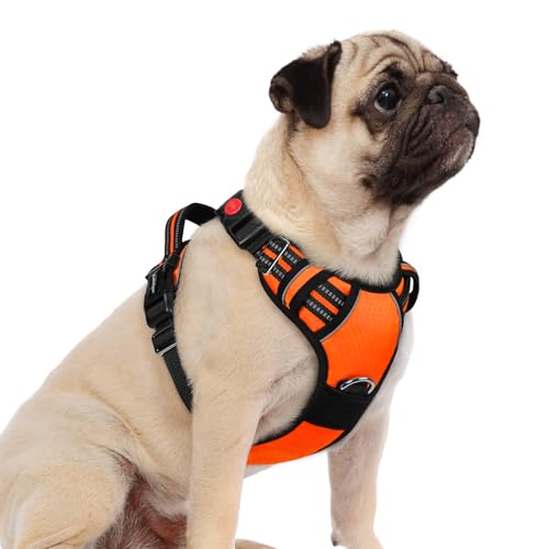 Dog Harness Small Sized (Orange / Small)