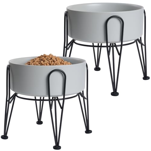 Elevated Dog Bowls (Gray / 7.6 Cups | 2 Pack | For Large Dogs)