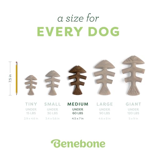 Fishbone Durable Dog Chew Toy for Aggressive Chewers (REAL Jack Salmon / Medium)