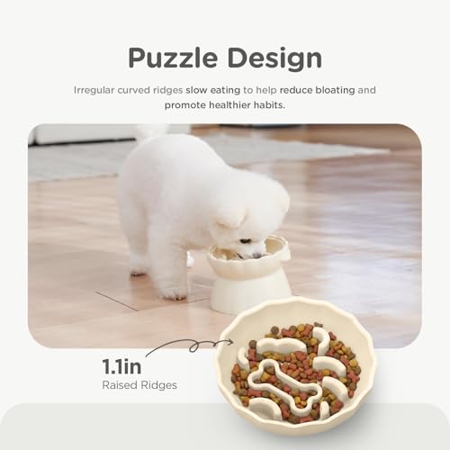 Slow Feeder Dog Bowls Made of Premium Food (Brown / Doggy)