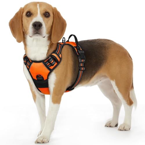 Dog Harness for Small Dogs (Small / Orange)