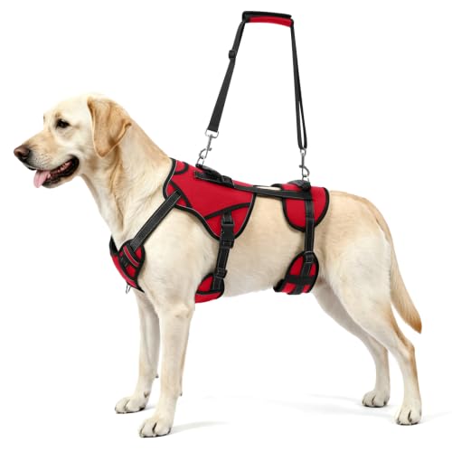 Dog Lift Harness (Red-2 / Medium)