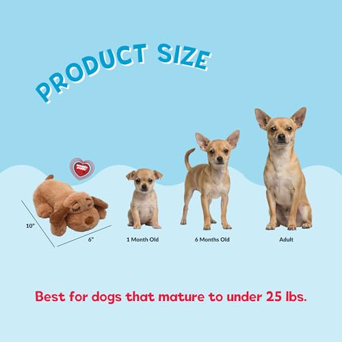 Snuggle Puppy Junior Heartbeat Toy (Biscuit)