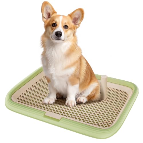 Dog Potty Tray (Green)