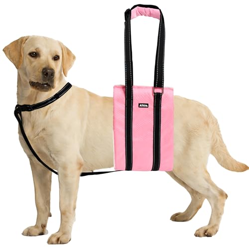Dog Lift Harness for Senior (Pink / XL)