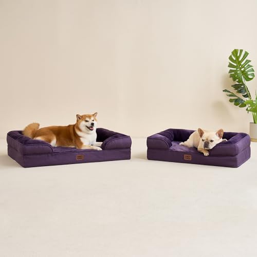 Orthopedic Dog Beds Large Sized Dog (Purple / 35.0"l X 22.0"w X 6.5"th)