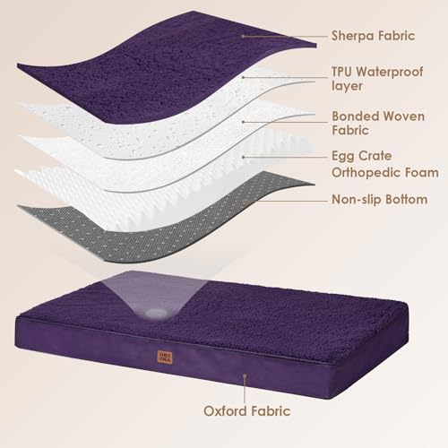 Orthopedic Dog Bed Extra Large with Removable Washable Cover (50*36*4 inches / Purple)