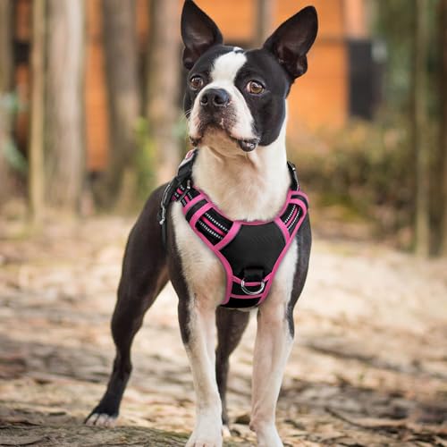 Dog Harness Small Sized (Black & Pink / Small)