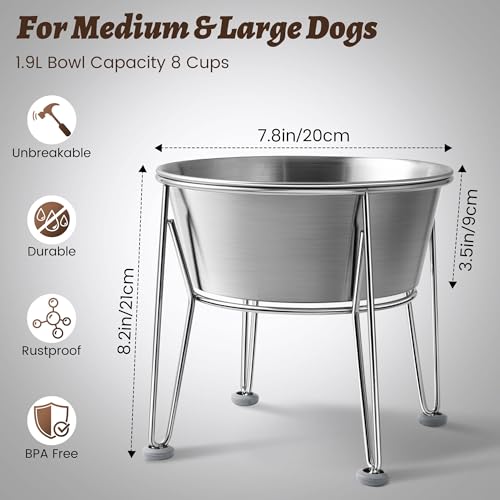 Elevated Dog Bowls for Large & Medium Dogs (8 Cups / Raised Bowl)