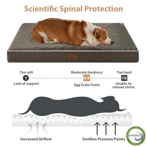 Orthopedic Waterproof Large Sized Senior Dogs Bed for Comfy Sleep (Dark Green / 36"L x 27"W x 3"Th)