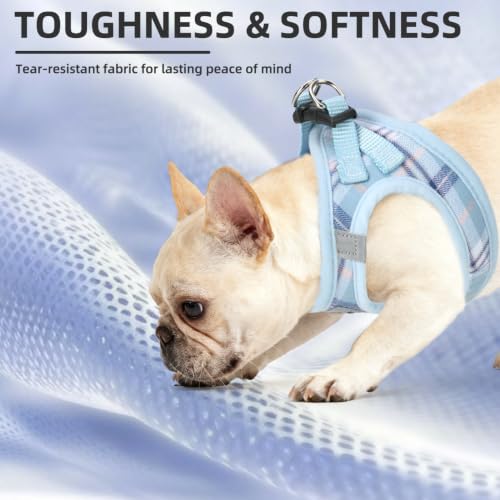 Dog Harness Collar and Leash Set No Pull for Small Medium Sized (Blue / M (CHEST 16"-18"))