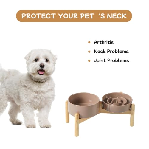 Elevated Slow Feeder Dog Bowls (Brown Coffee)