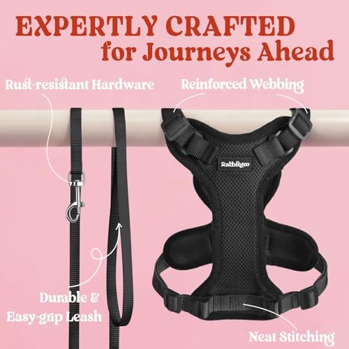 Cat Harness and Leash Set (S / Black)