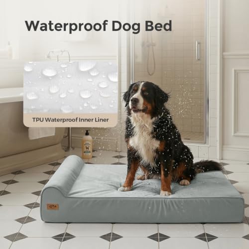 XXL 35D Memory Foam Dog Bed for Extra Large Dogs (XX-Large / Light Blue)