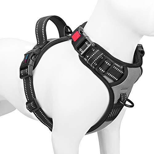 No Pull Dog Harness Medium Reflective Front Clip Vest with Handle (Medium / Gray)