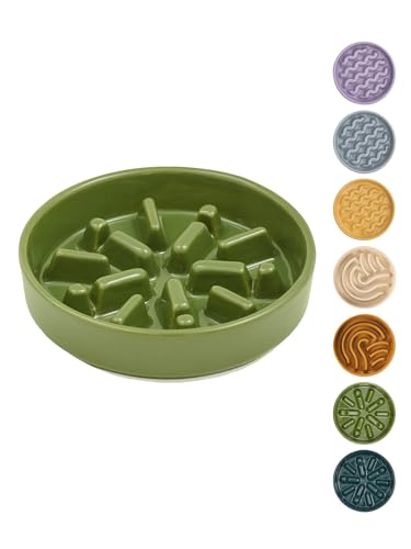 Ceramic Slow Feeder Dog Bowl (Lights-Green / Small)