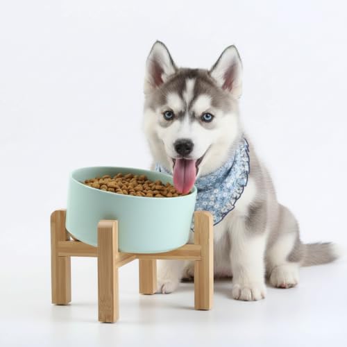 Elevated Raised 15°Slanted Ceramic Dog Bowl for Small and Medium Breeds (Blue Sky / 3.6 CUPS - Medium Dog Bowls)