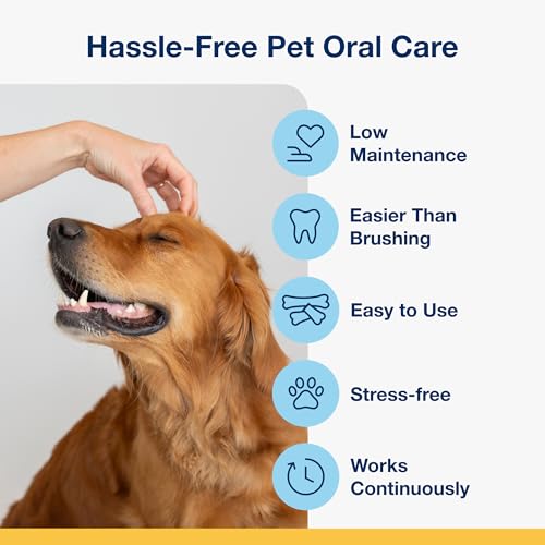 Dental Bones for Dogs