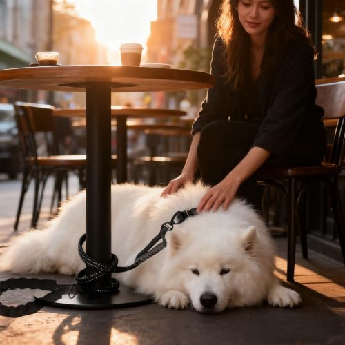 Bungee Leash for Large Dogs that Pull (khaki)