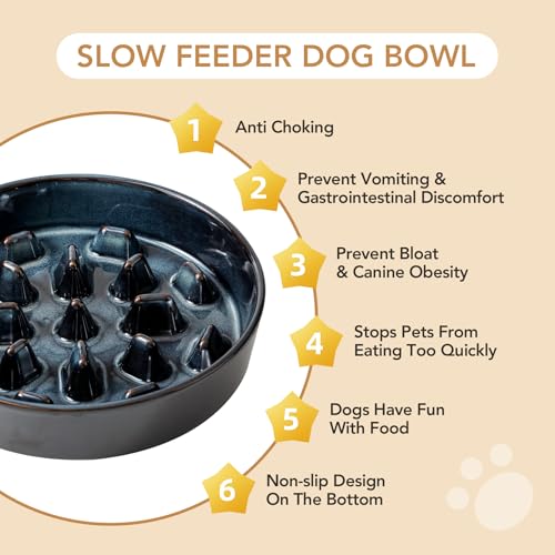 Ceramic Slow Feeder Dog Bowls (1 x Starry Sky - C / XL- 9.5inch / 3.2 Cups)