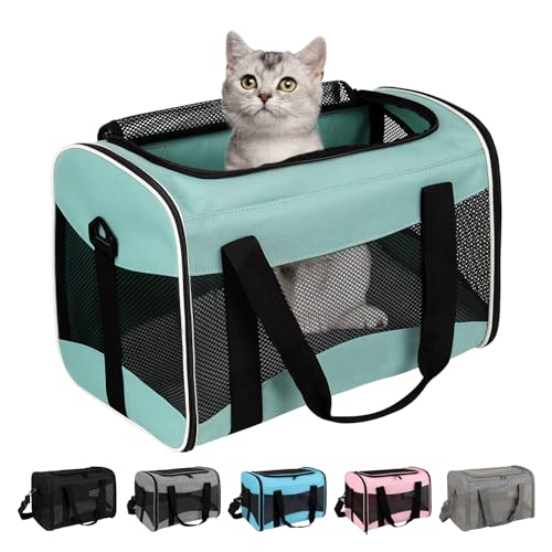 Cat Dog Carriers Soft (green / 17.0"L x 11.0"W x 11.0"H)