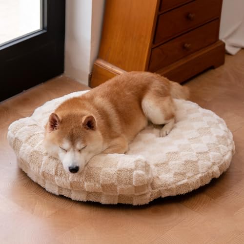 Orthopedic Dog Bed for Small Dogs and Cats Beige Oval 30x25x7 (Beige / 30"L x 25"W x 7"H)