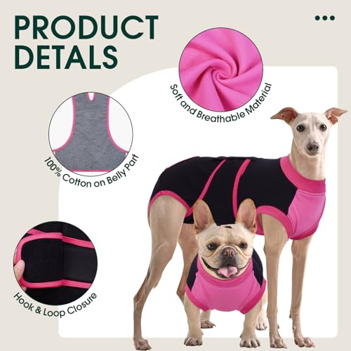 Dog Recovery Suit (Black / X-Small)