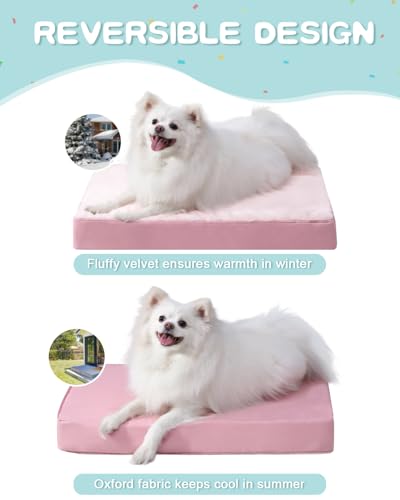 Orthopedic Dog Bed for Small Dogs with Waterproof Lining (Pink / 23.0"L x 17.0"W x 3.0"Th)