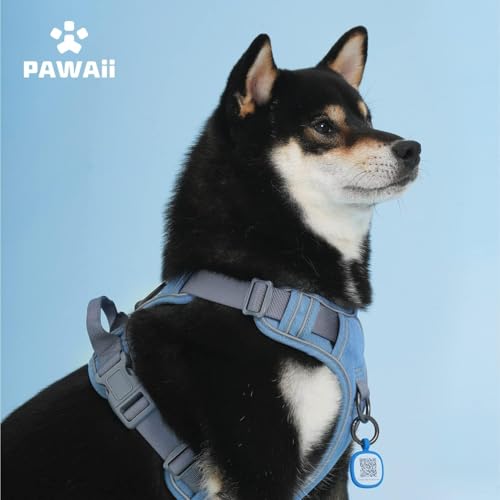 No Pull Dog Harness with Pet ID Tag (XL (Chest: 32"-38" ) / Denim Blue)