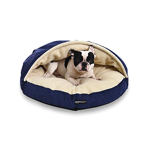 AmazonBasics Anti (Blue / Medium (Pack of 1))