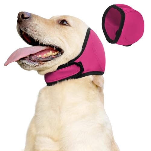 Dog Ear Cover for Bath and Swimming (L / Rose red)