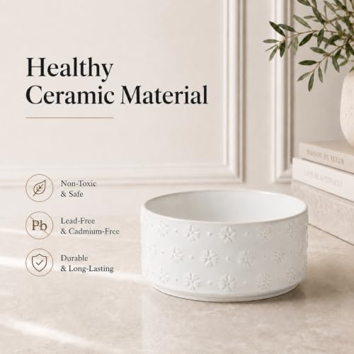 Elevated Dog Bowls (Double Bowls with Stand- Arctic White / 3.4CUPS)