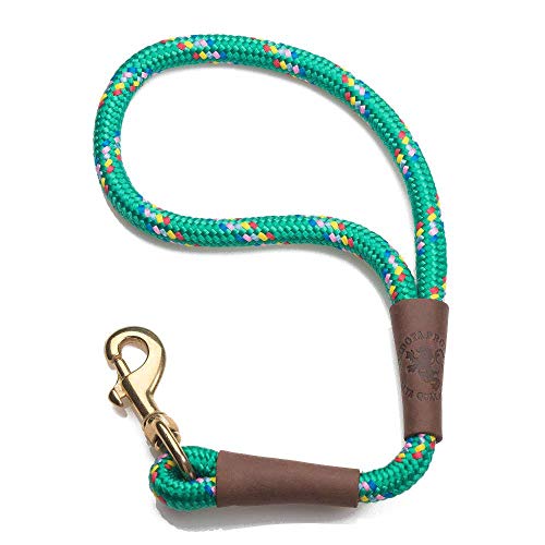 Traffic Leash (1.5 feet / Kelly Confetti)