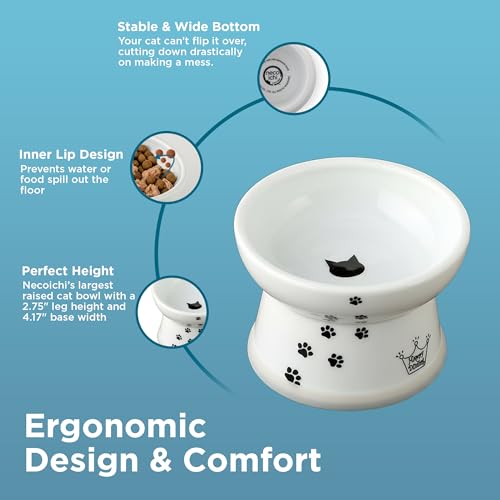 Necoichi Ceramic Elevated Cat Food Bowl (Cat / Regular)