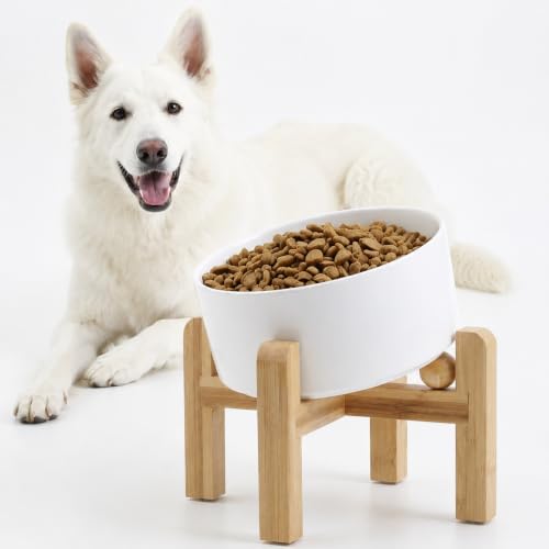 White Elevated (White / 7.6 CUPS - Medium Large Dog Bowls)