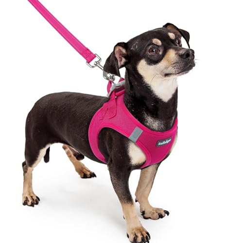 Dog Harness Small Sized and Leash Set (Rose Red / Xxxs (chest: 10.8 - 11.8"))